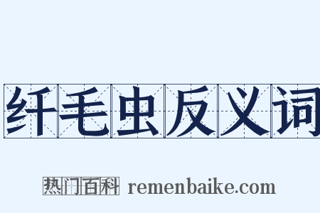 纤毛虫反义词是什么意思的图片